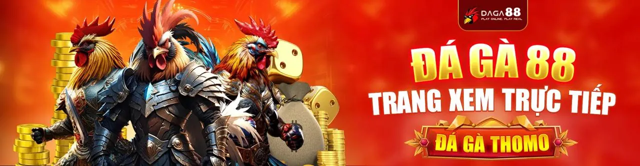 Trường Đấu Đá Gà Trực Tuyến i9bet128